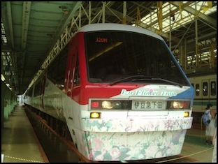 -Izukyu-2100-Izu-flower-Train